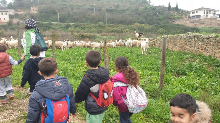 INFANTIL Y 1º (1º TRIMESTRES 24-25)
